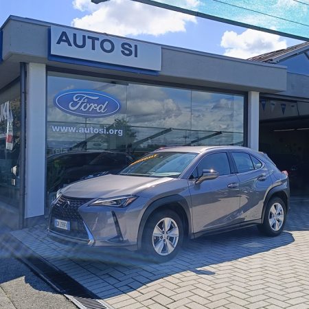 Lexus UX 250h  250h 2.0 Business 2wd cvt